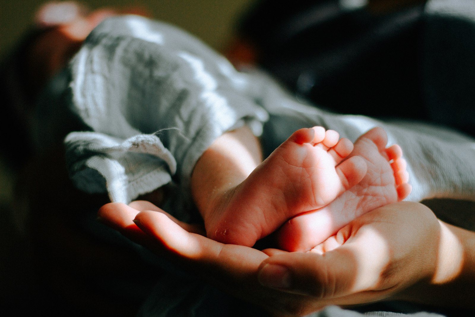 A newborn's feet resting in an adult's cupped hands
